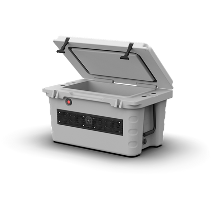 SHIVR-55-GRY | Wet Sounds SHIVR-55 Battleship Gray Bluetooth Soundbar Cooler